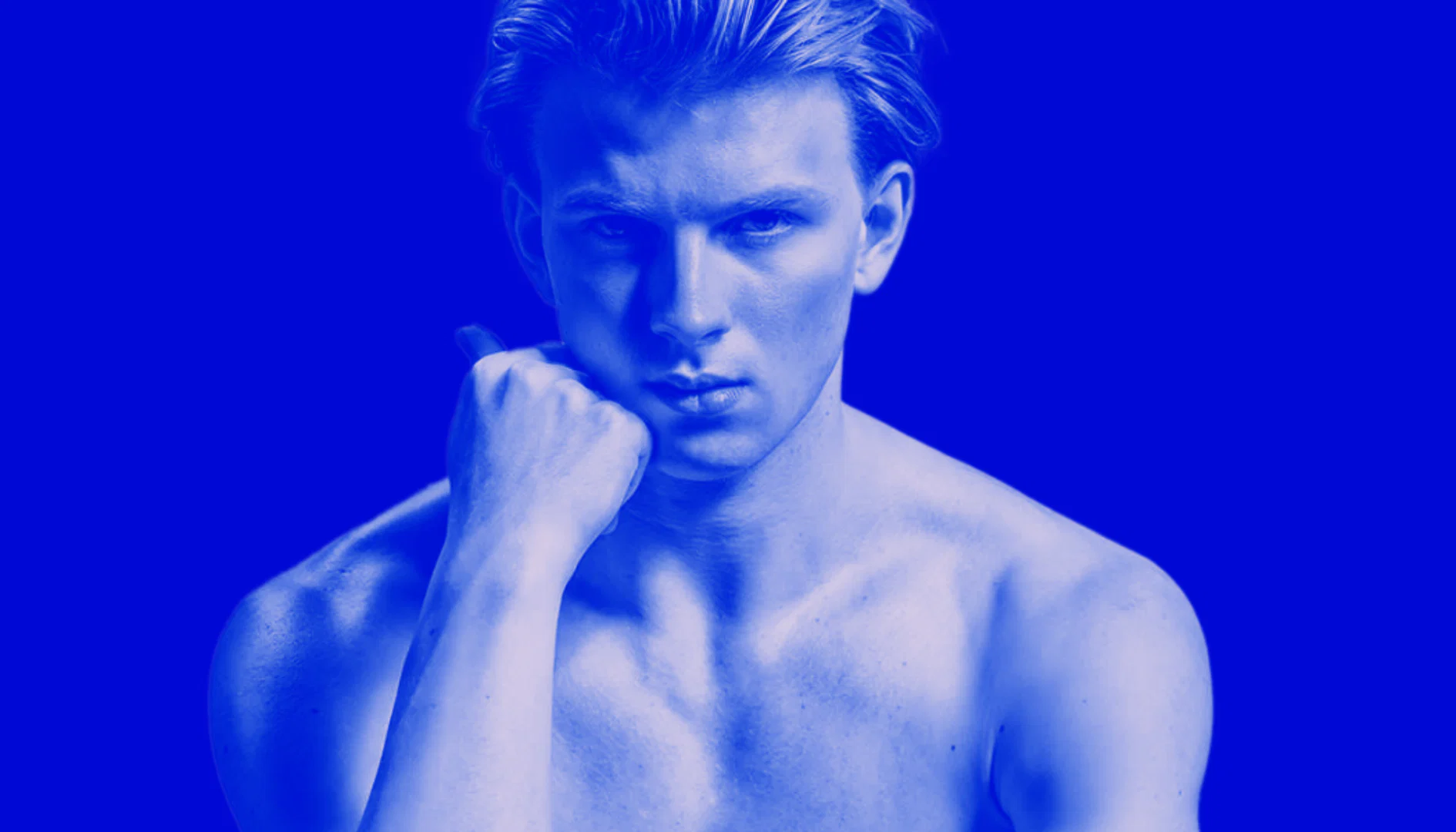 german stud profile banner