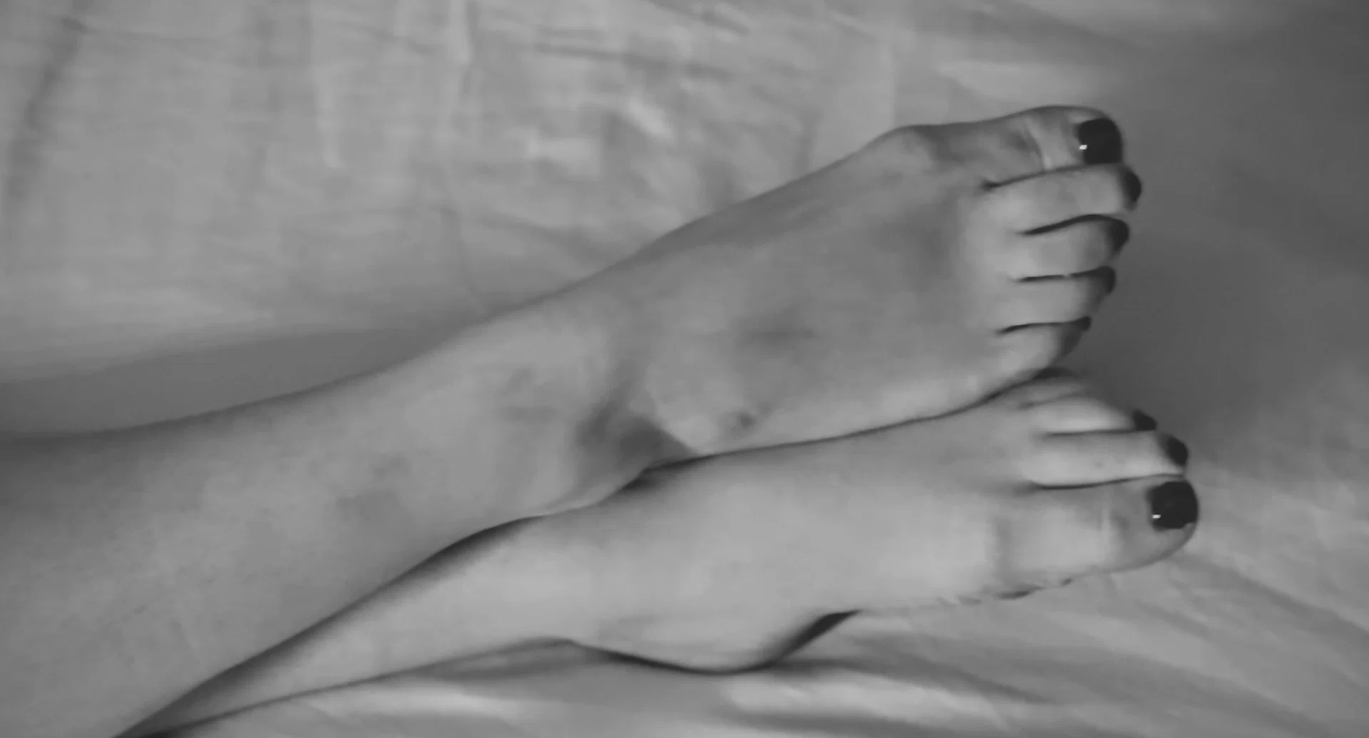 TippyToes profile banner