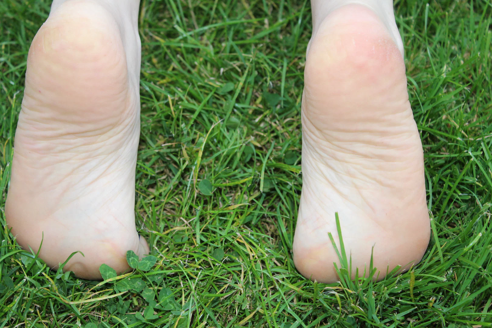 Tootsie Toes Rock profile banner