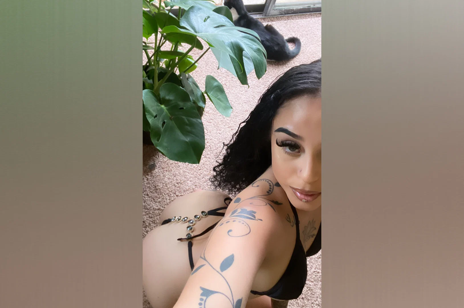 ✨ profile banner