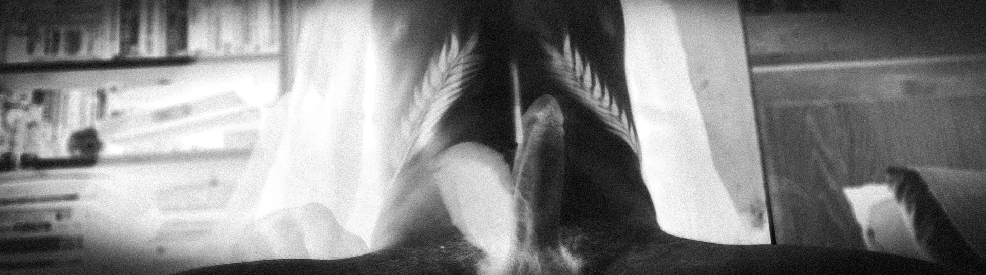 SwedishStallion profile banner