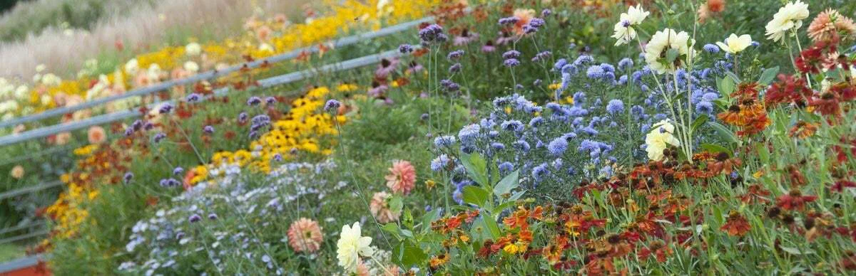 BlackFriday69 profile banner