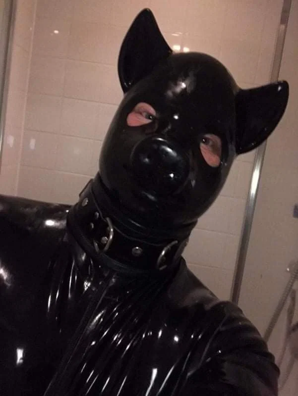 RUBBER CIGAR PIG's avatar