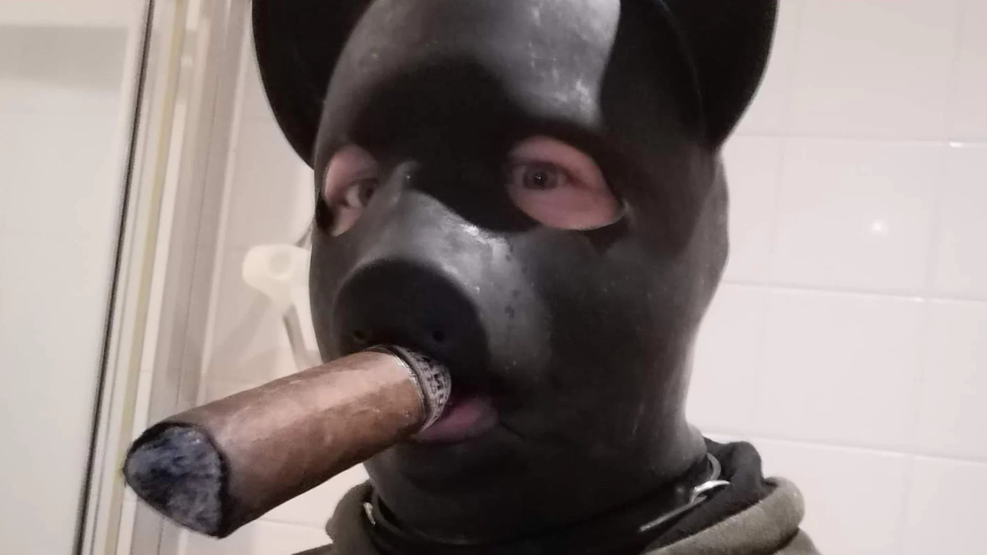 RUBBER CIGAR PIG profile banner