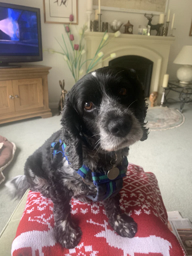Eab