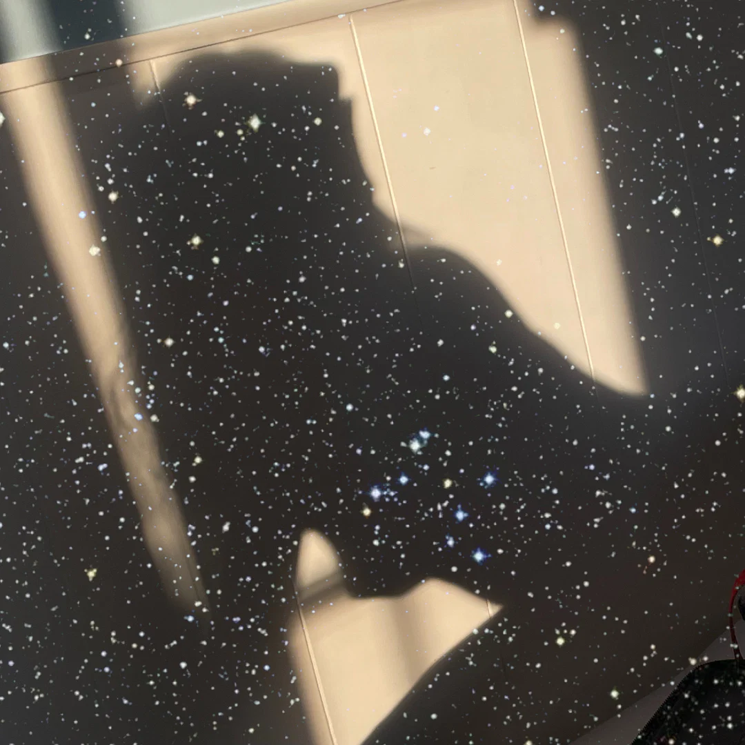 littlebitchy🧜🏻♀️ profile banner