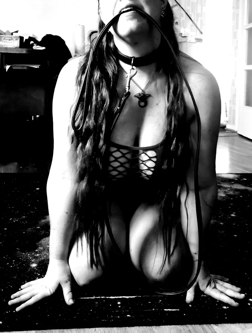 Swedish Minx💋 profile banner