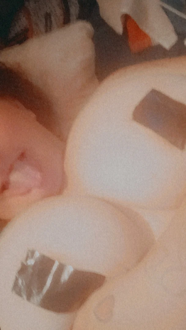 Alexis Paige Kitts profile banner