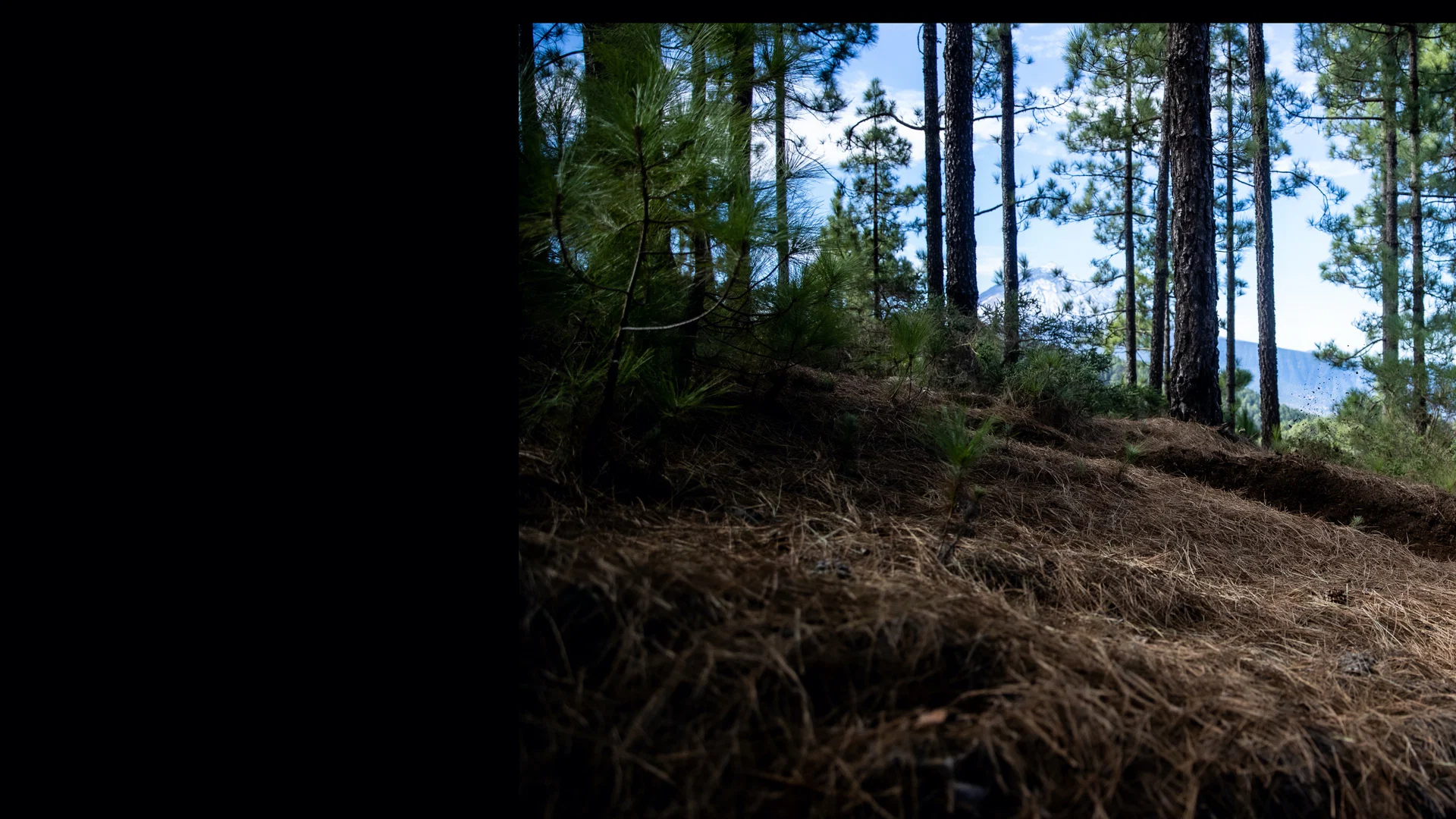 u7854583 profile banner