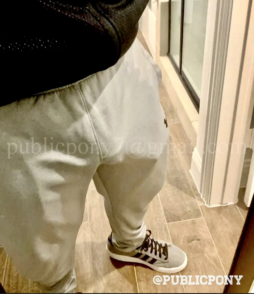 Public Pony