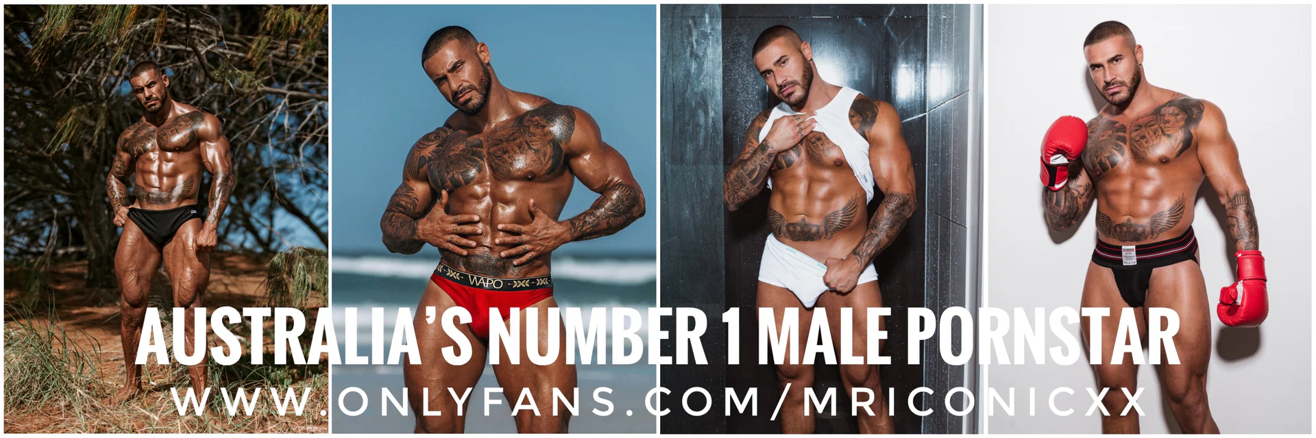 ICONIC Sex ๐ Adventures FREE ๐๐ฅต profile banner
