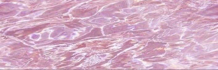 ๐ธ๐ป profile banner