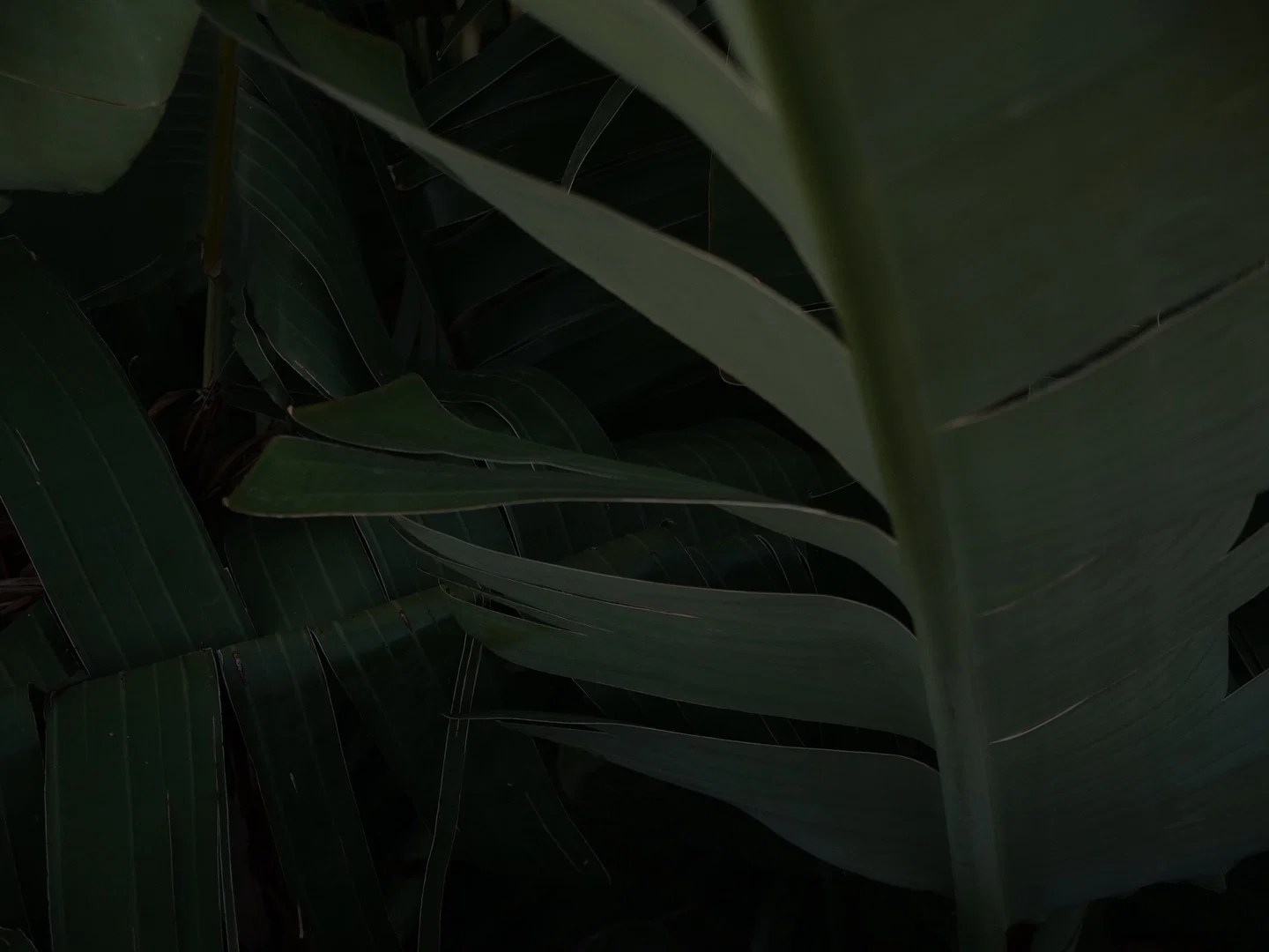 Emma Christina profile banner