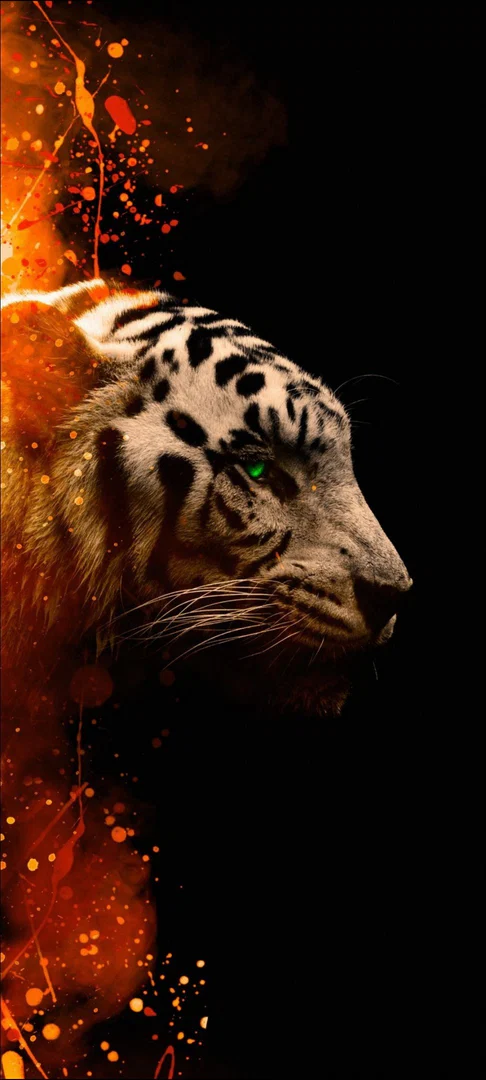 Serge profile banner