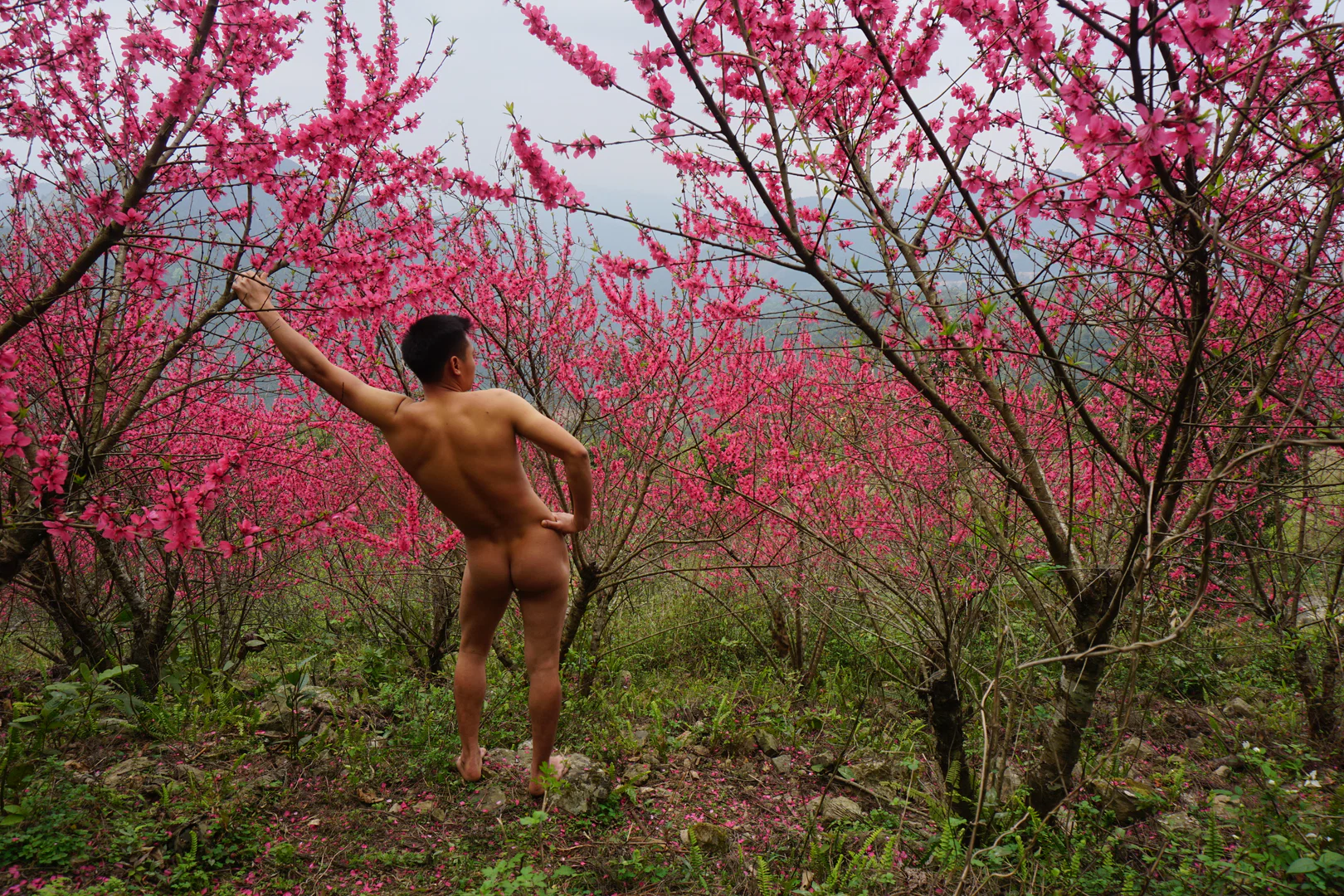 Khai Kim profile banner