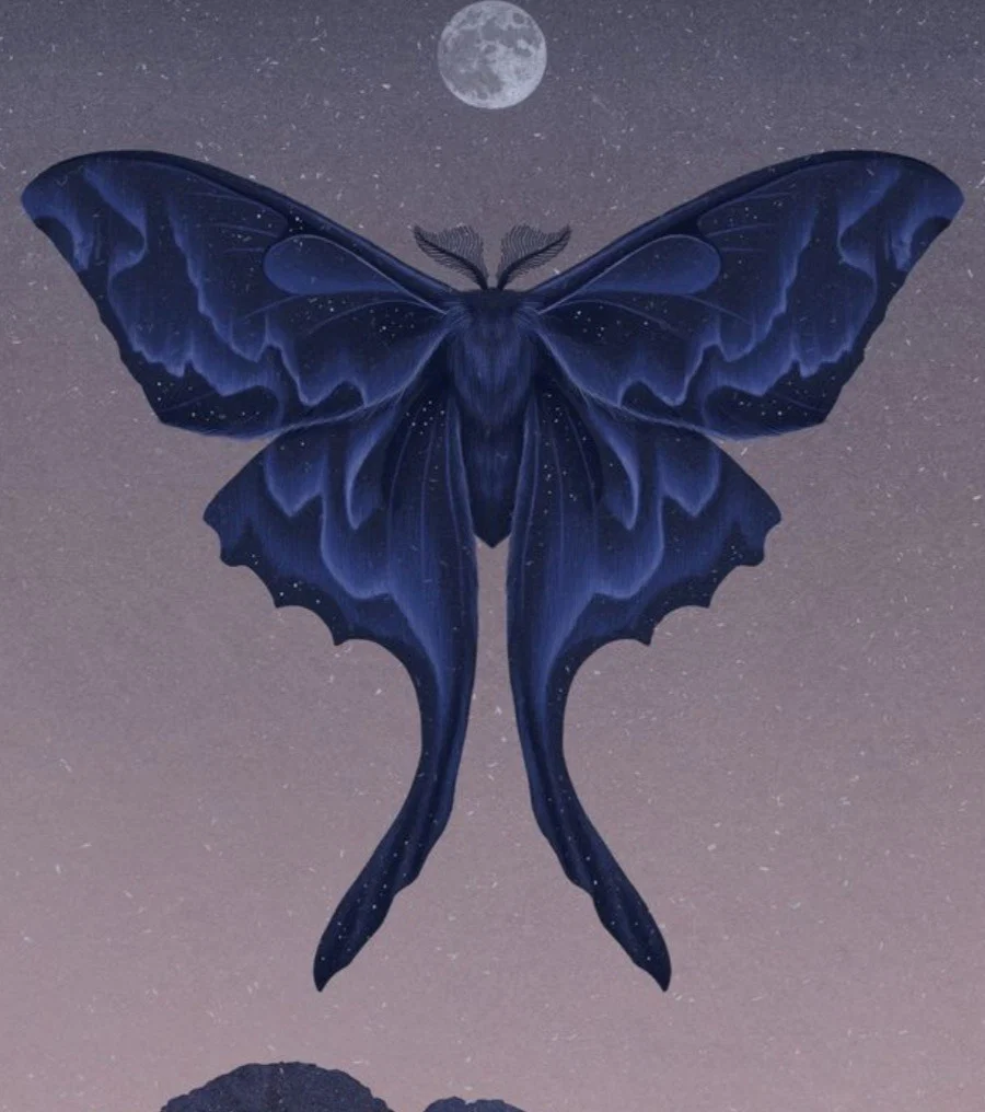 Blue Moth🦋 profile banner