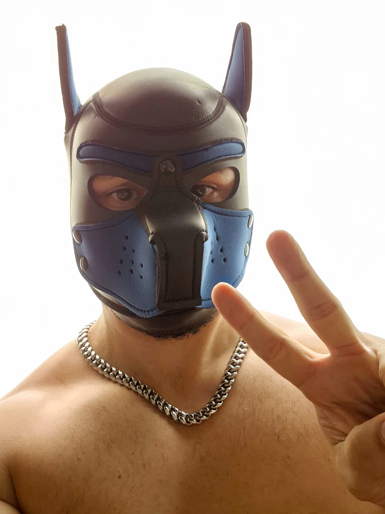 Pup Bolt ⚡️'s avatar