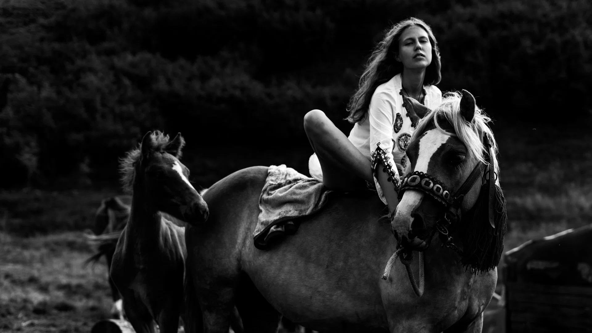 Ekaterina profile banner