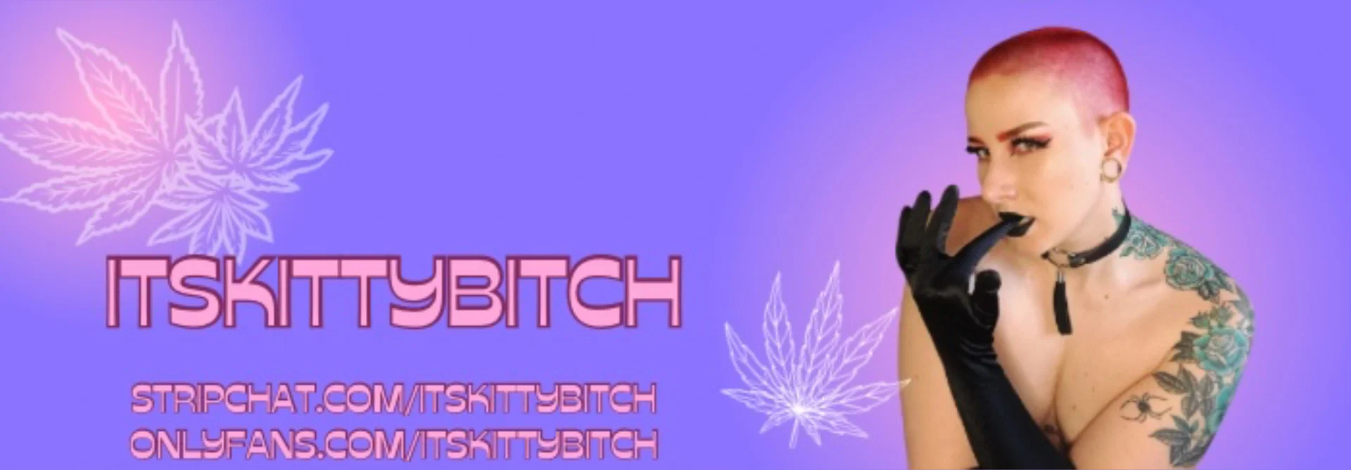 Kitty π€ profile banner