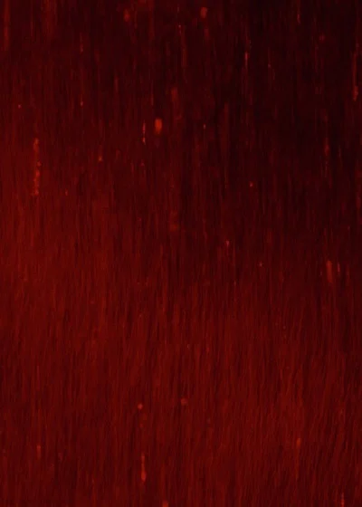 Bloody Spitfire's avatar