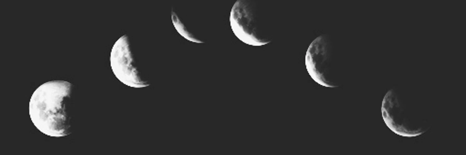 alec° profile banner