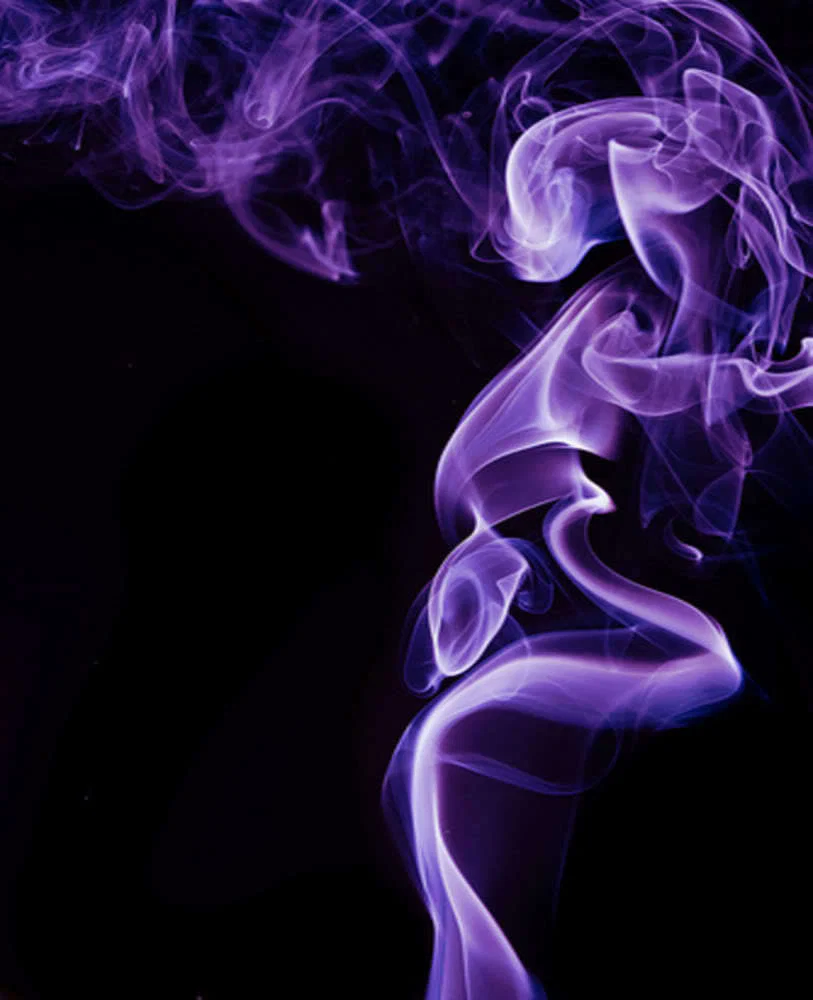 Trinety Guess profile banner
