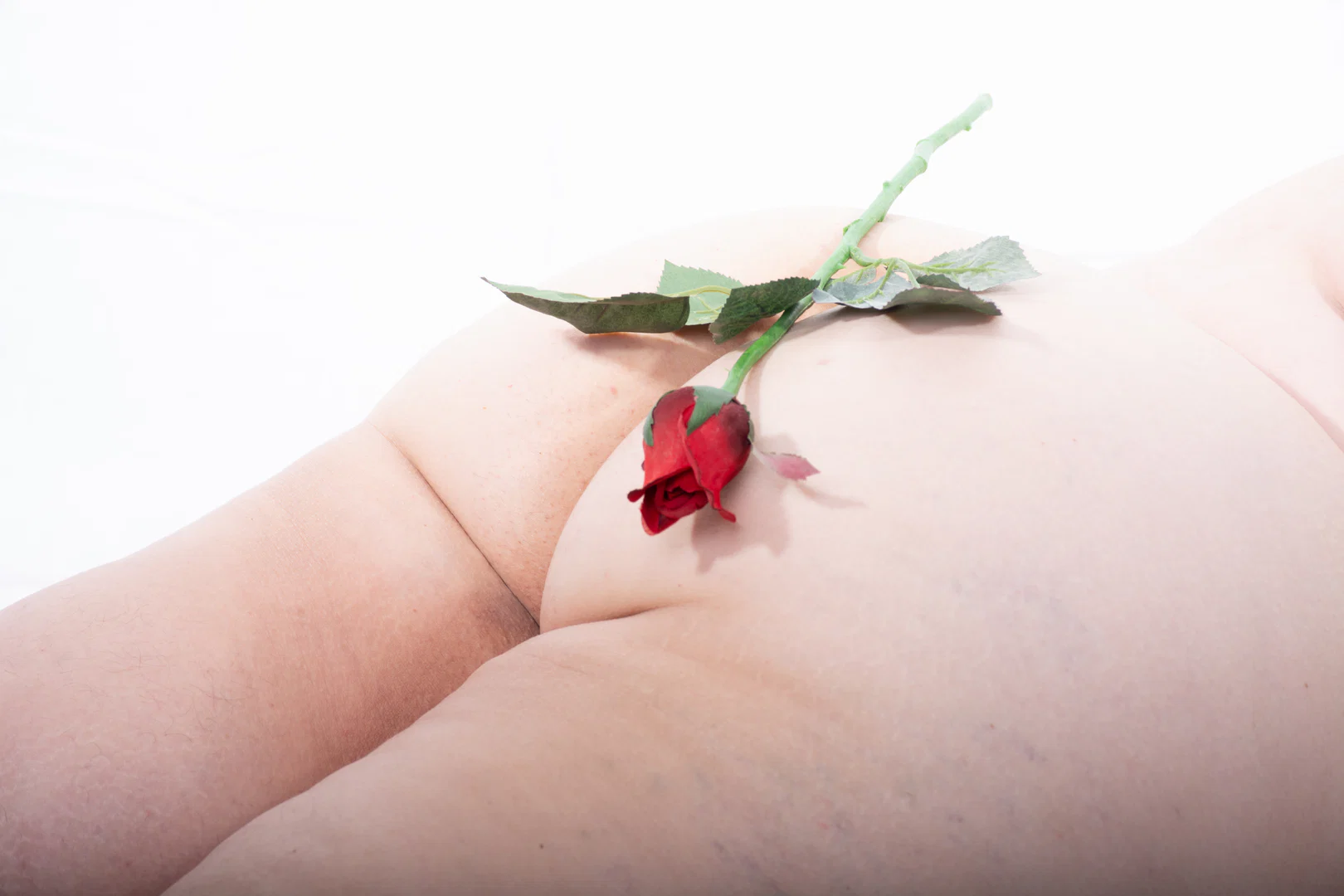 Foxy Rose profile banner