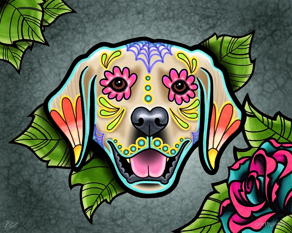 Nine1elite profile banner