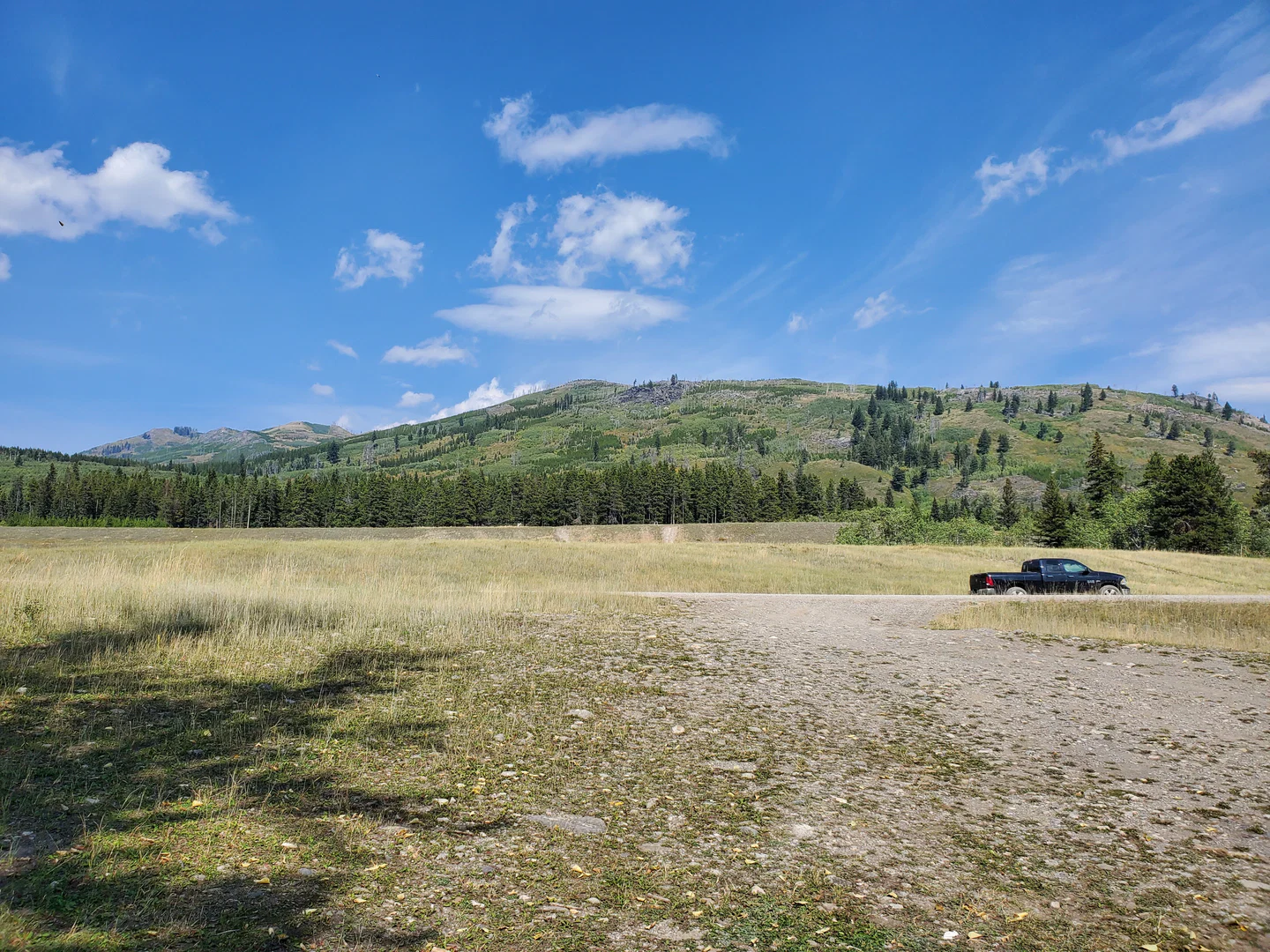OaklyOak profile banner