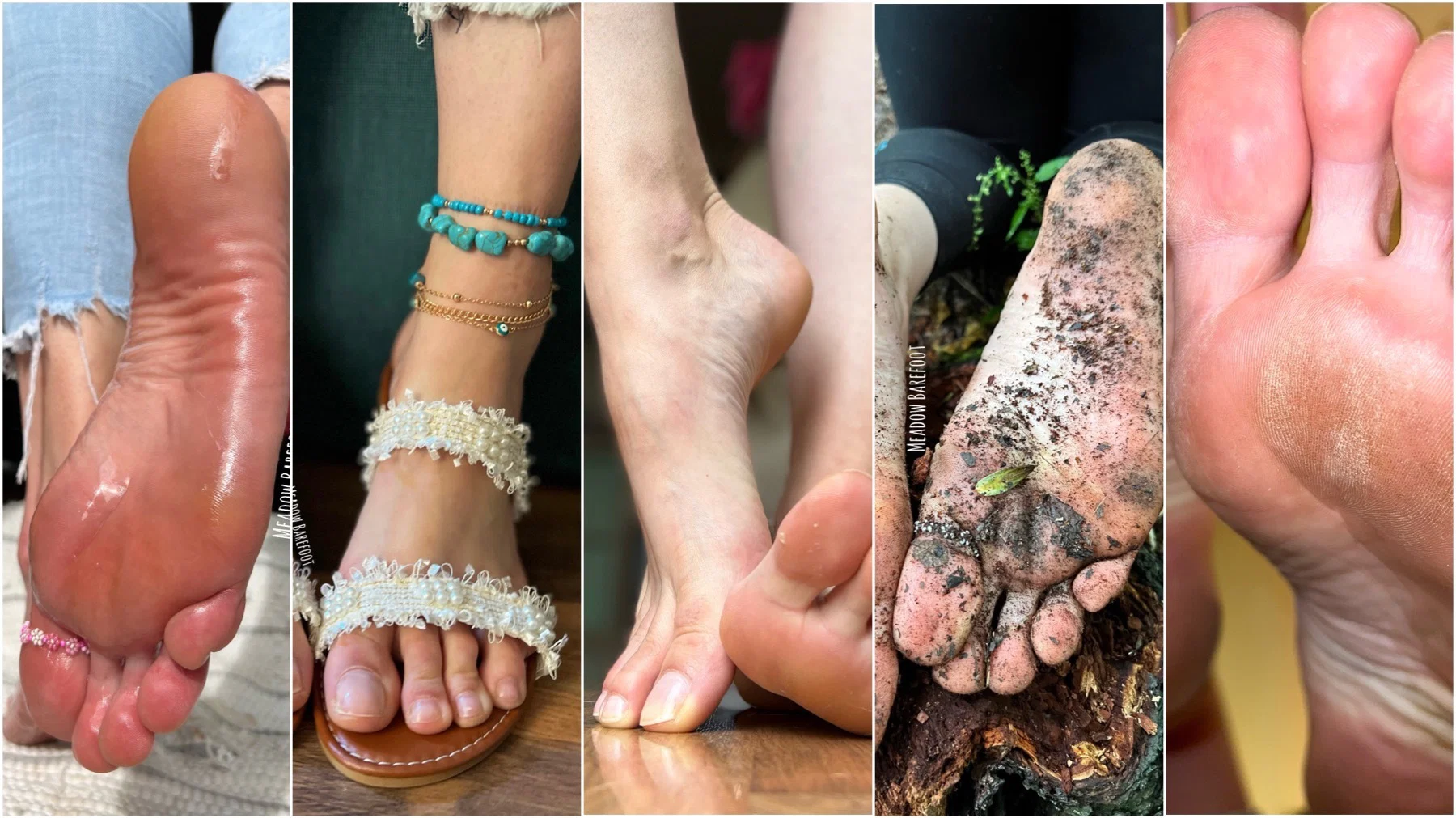 Meadow Barefoot profile banner