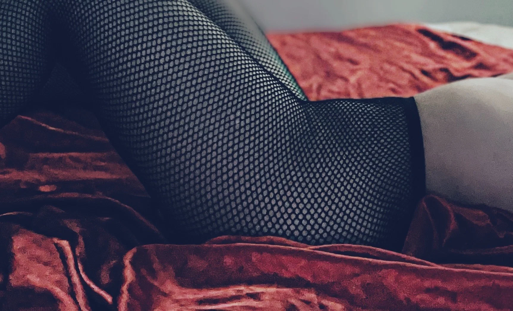 Talia profile banner