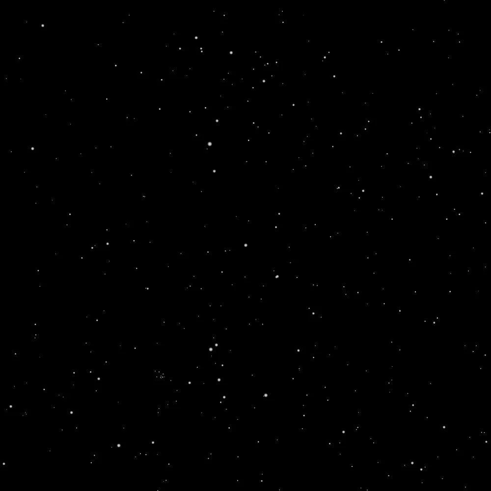 LilRose profile banner
