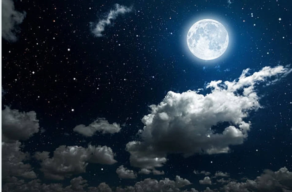Moonlit Mistress profile banner