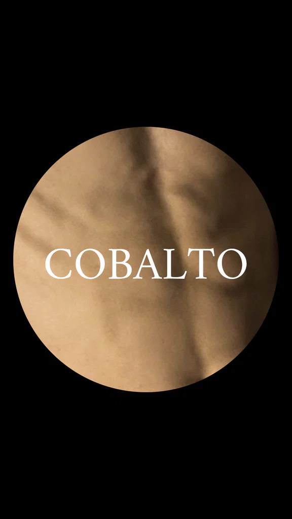 cobalto's avatar