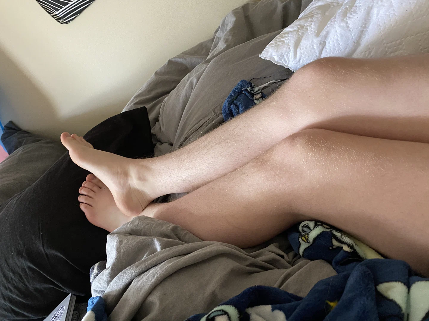 Trans twink profile banner