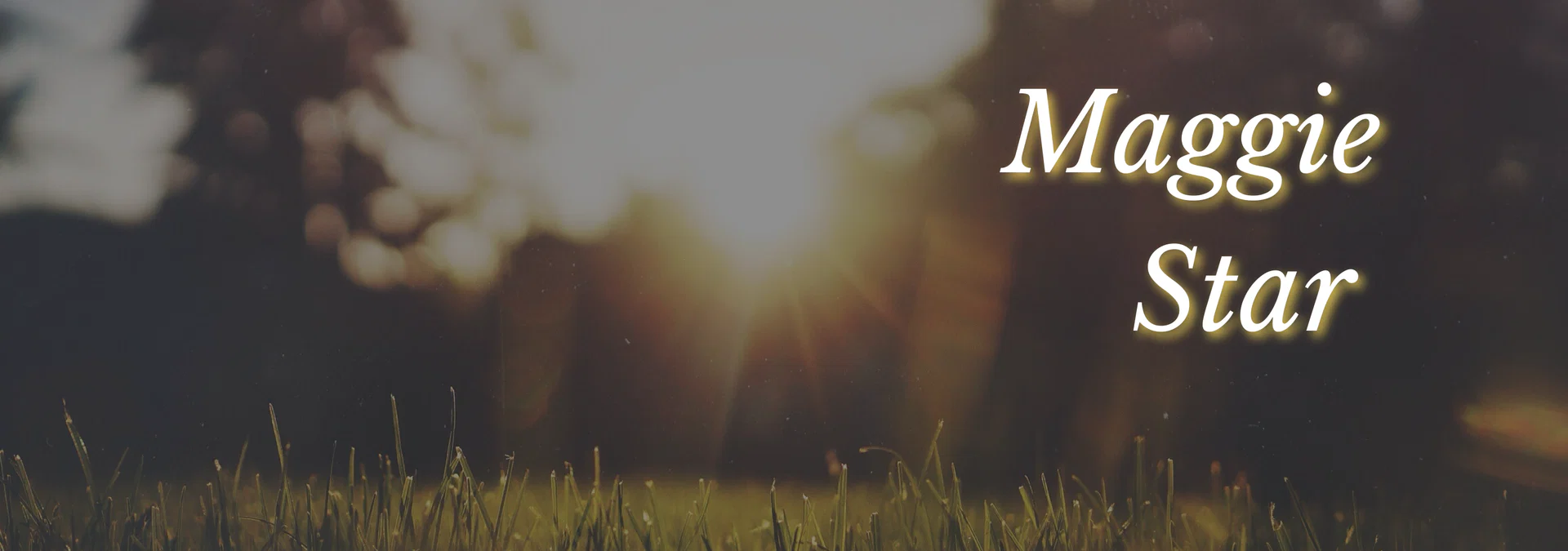 Maggie Star profile banner