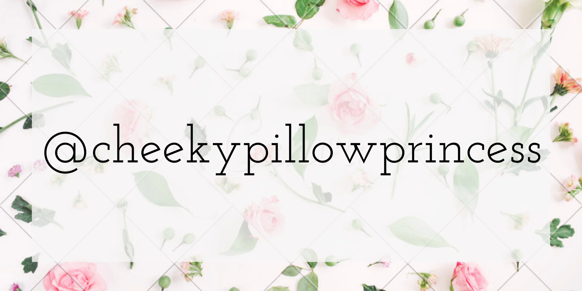 cheekypillowprincess profile banner