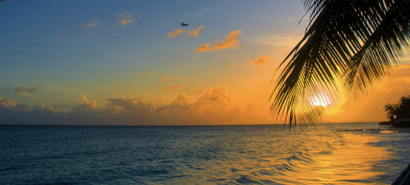 Cinnamon profile banner