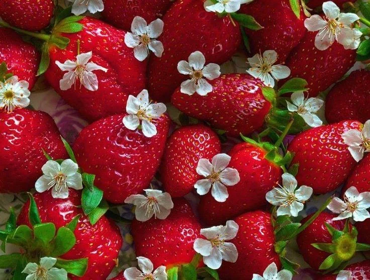 Strawberry Fairy π profile banner