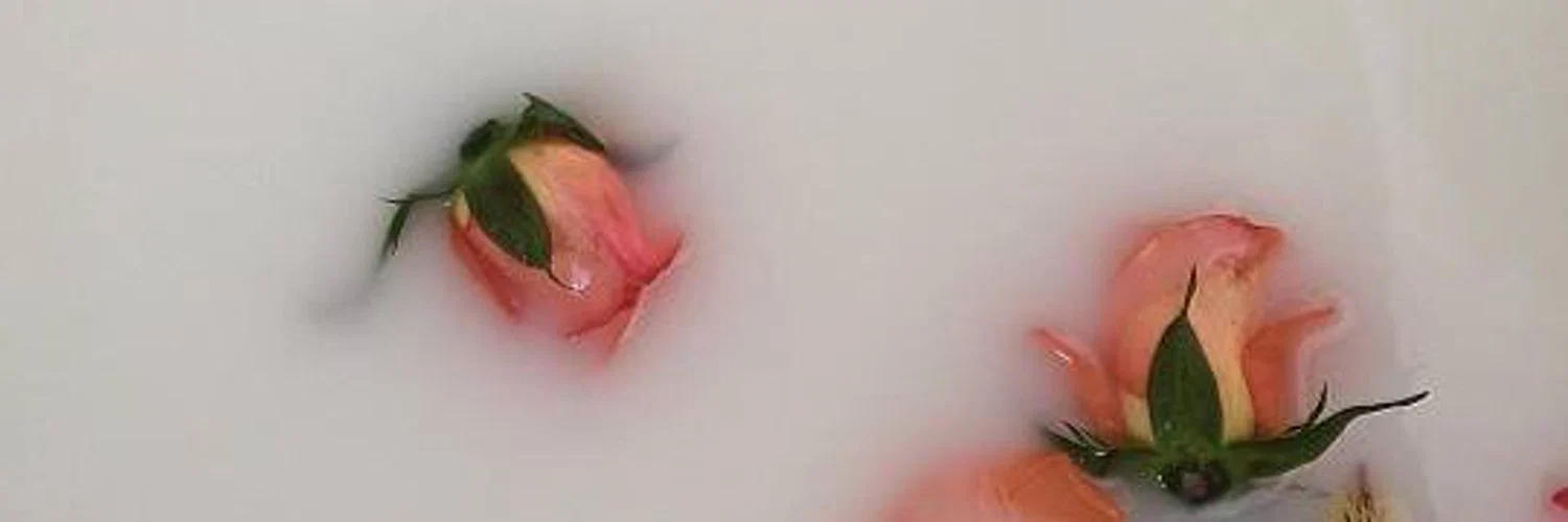 Daphne Lotus🌸 profile banner
