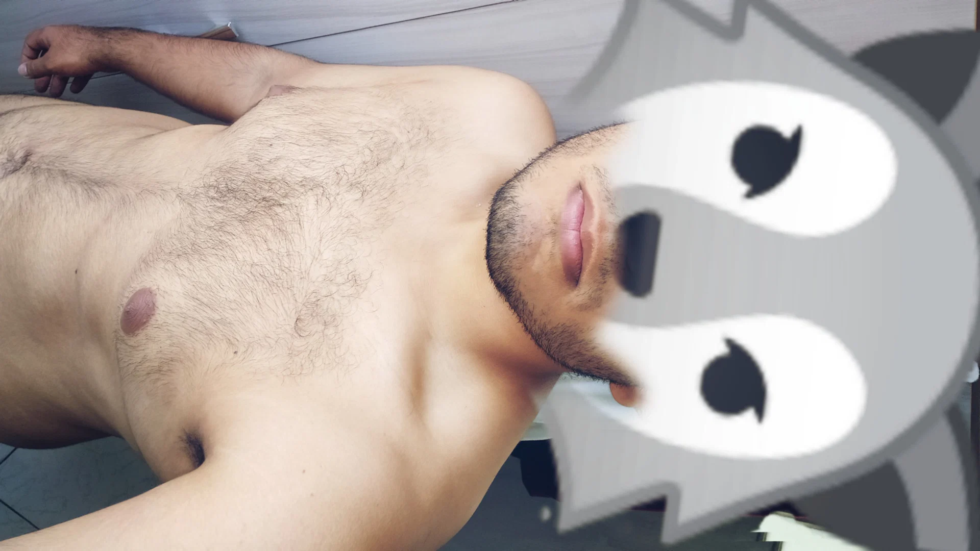 Lobo profile banner