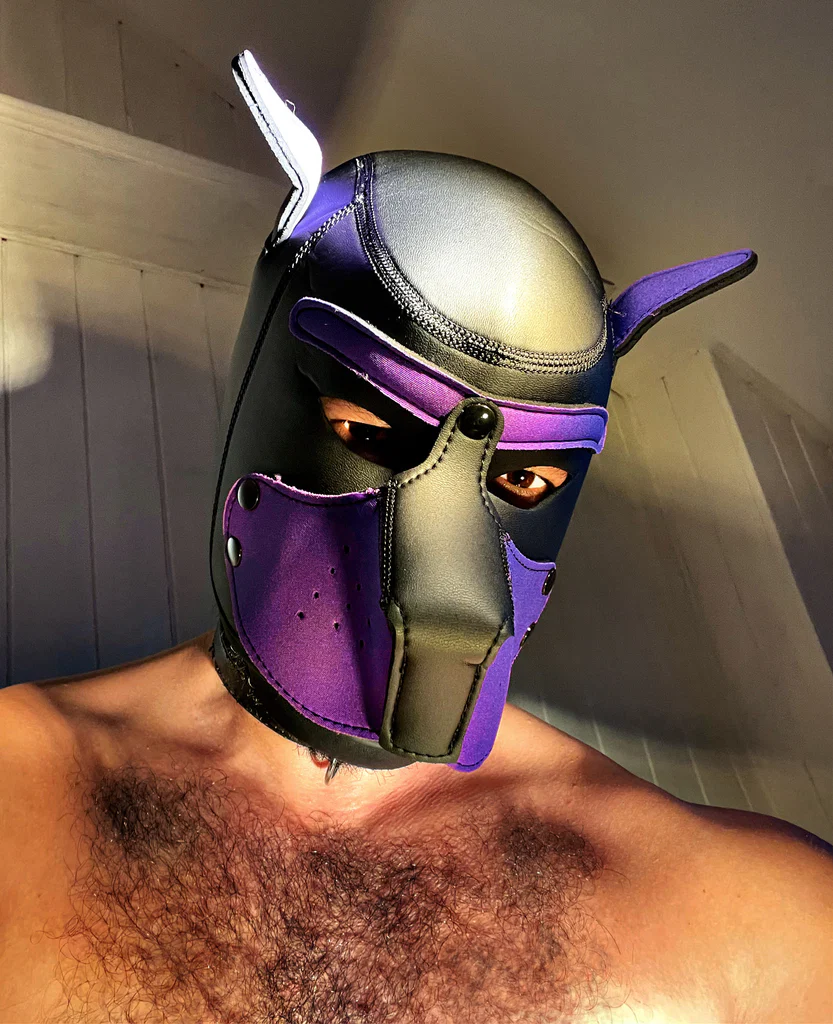 Hot Purple Puppy's avatar