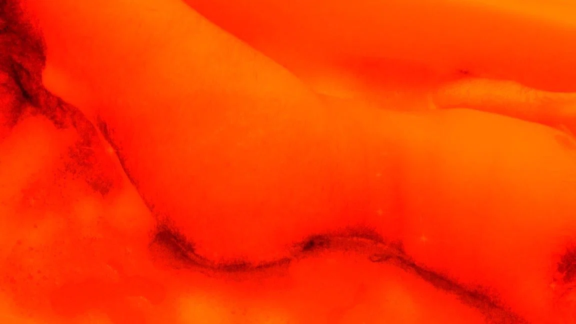 ::;) profile banner