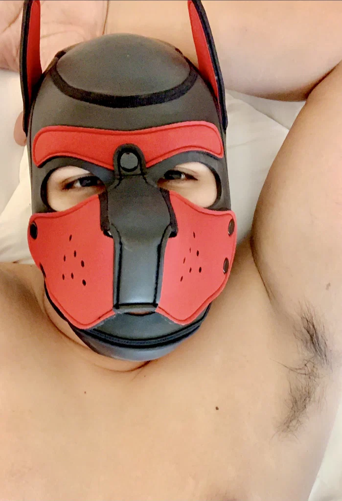 Ares's avatar