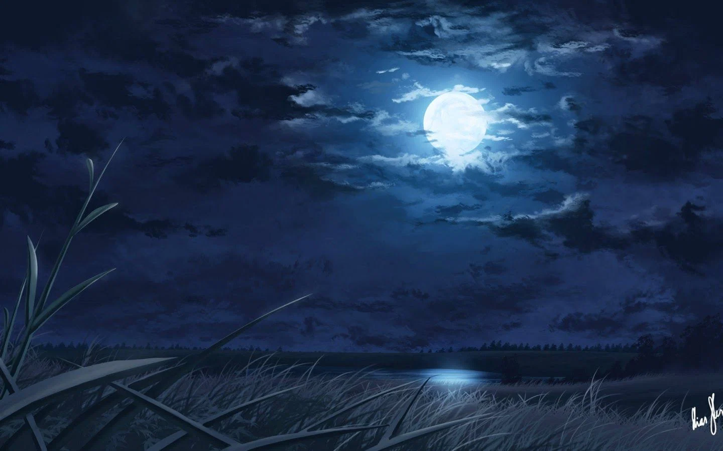 tsuki profile banner