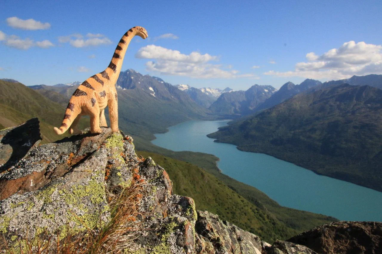 Jill - solo in Alaska profile banner