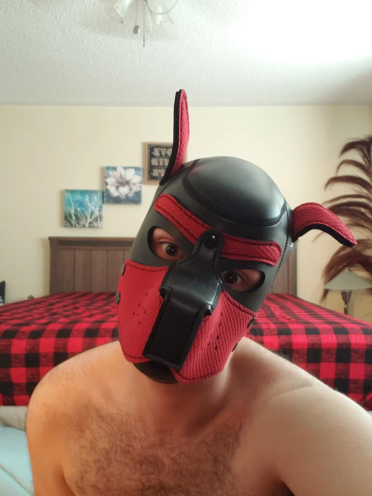 Pupster D's avatar