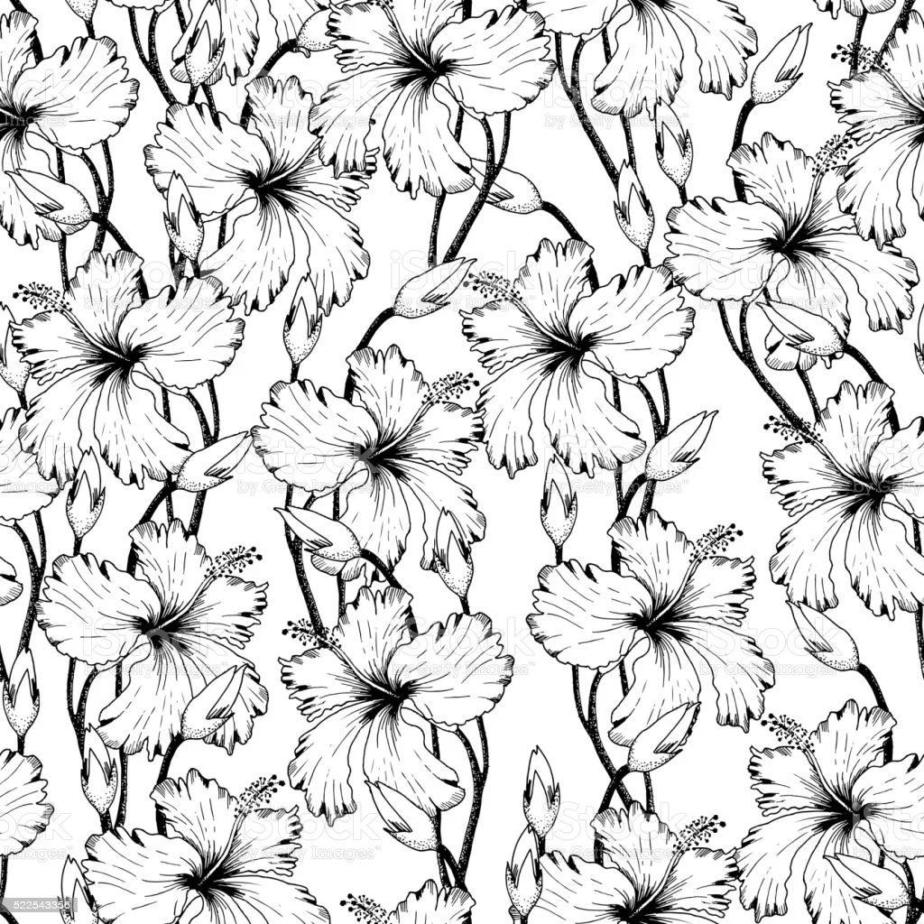 Tash profile banner