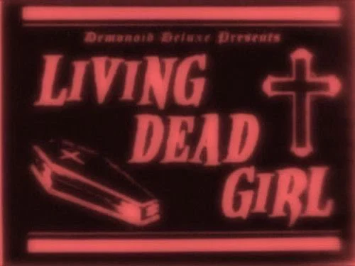 lucy profile banner