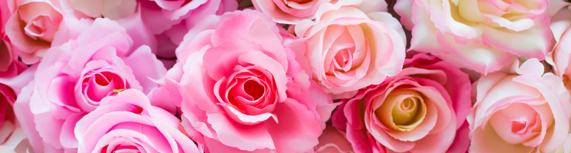PinkRose profile banner